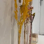 Charmante Maison 8 Pers A 2 Pas De La Foret